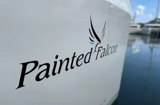 painted falcon